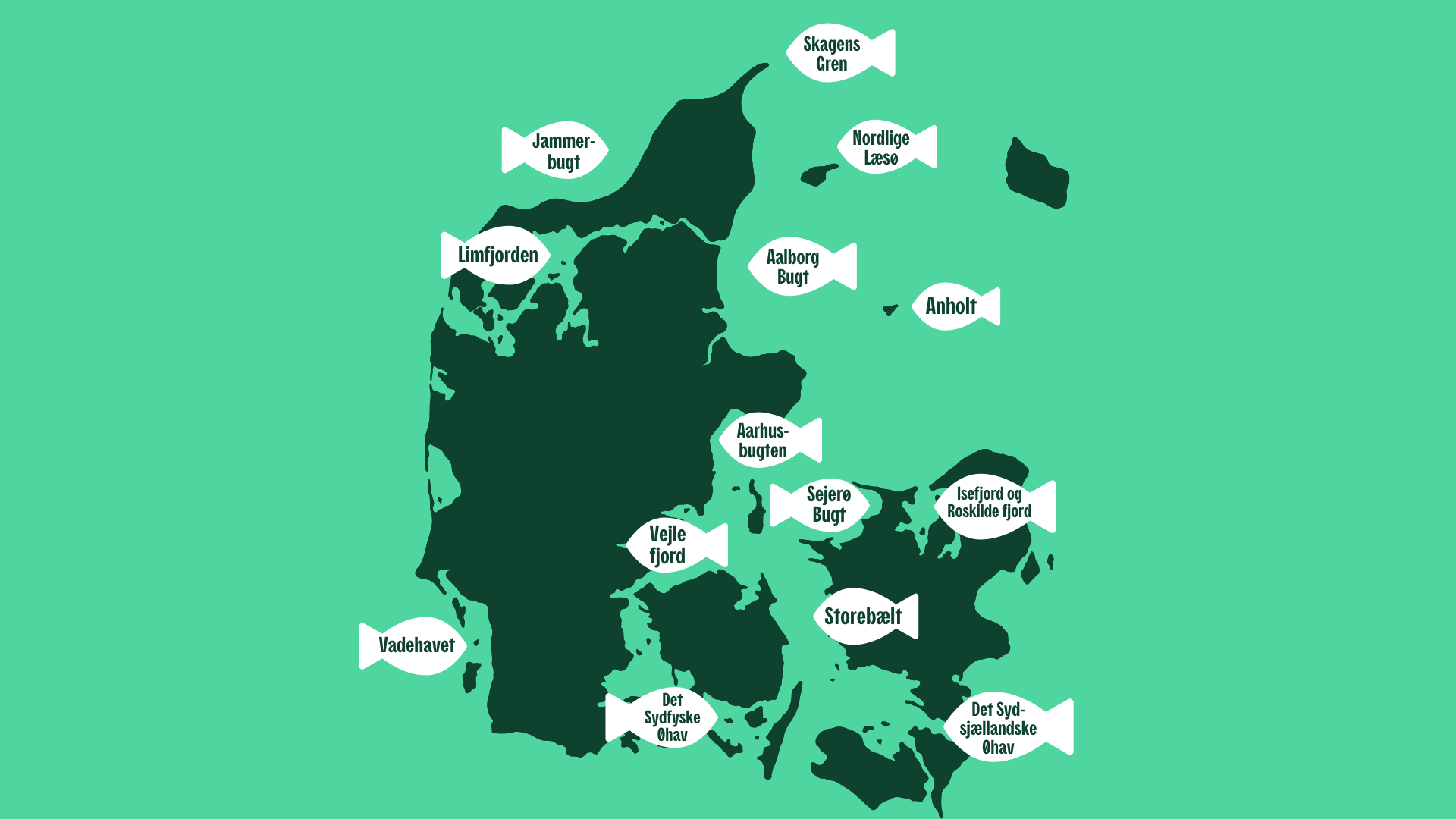 Genskab livet i Danmarks fjorde og farvande